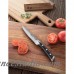 New Star Food Service TS Series 5" Utility Knife NSFD1048